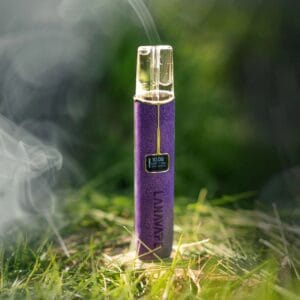 LANA皮革主機紫色